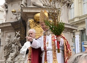 Palmsonntag, Kardinal Christoph Schönborn