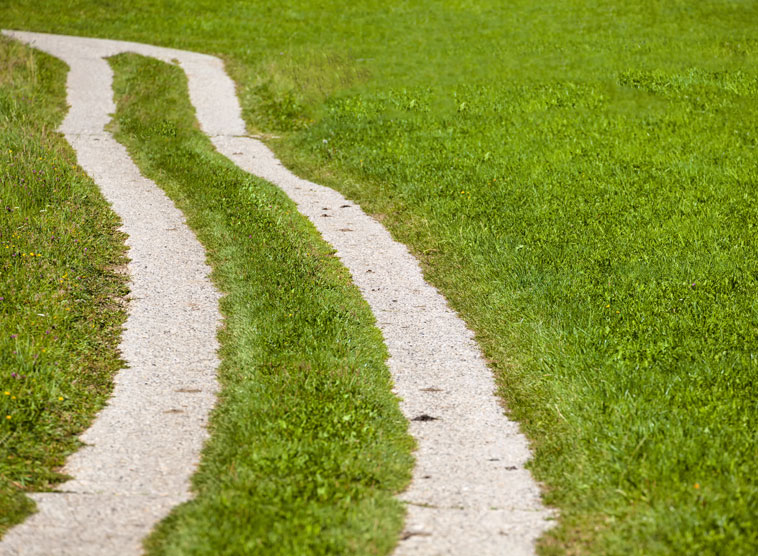 Gedanken von Kardinal Christoph Schönborn zum Evangelium am Sonntag, 30. Juni 2019 (Lk 9,51-62)