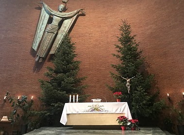 Christbäume in Unterheiligenstadt