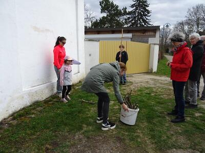Straßenkreuzweg in der Pfarre Ameis