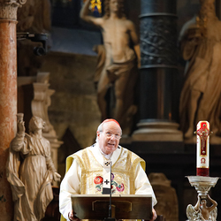 Kardinal Schönborn feiert das Hochamt zum Christi-Himmelfahrtstag 2021