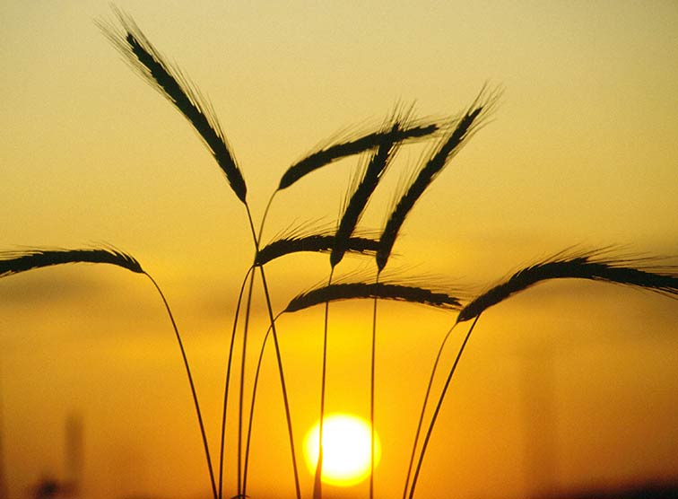 Sonnenaufgang