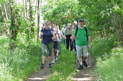 Pfarrverbandsmaiandacht bei der Gnadendorfer Bildeiche