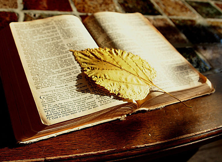 Bibel: Ein verstaubter Bestseller?