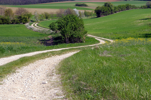 Sprüche zur Fastenzeit / © www.markus-goestl.at