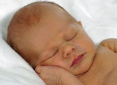 Schlafendes Baby/bilderbox.com
