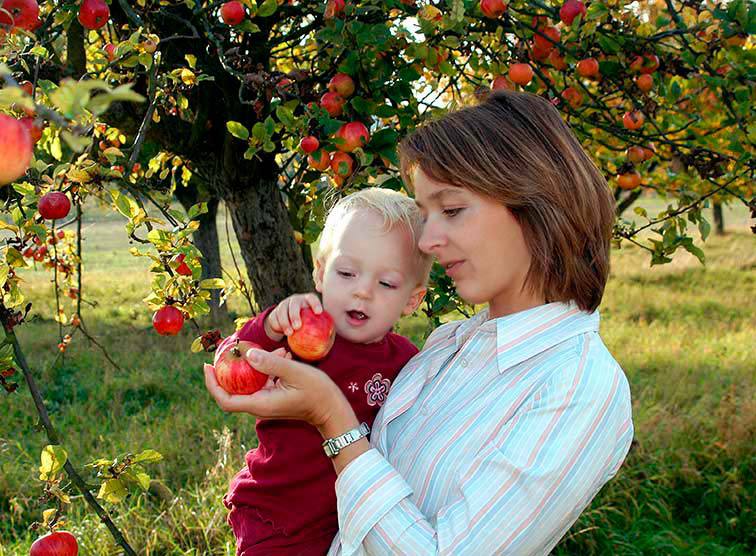 2 Generationen unter dem Apfelbaum