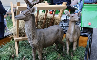 Erntedank und Pfarrfest