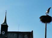 Kirche mit Störchen