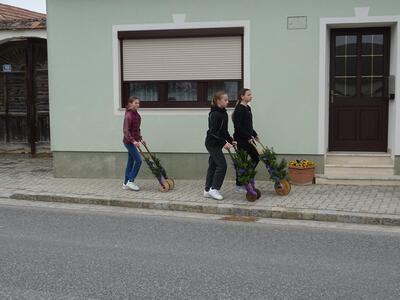 Ratscher unterwegs in Ameis