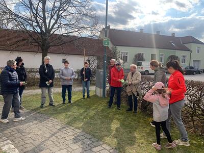 Straßenkreuzweg in der Pfarre Ameis