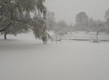 Schnee im Pfarrgarten