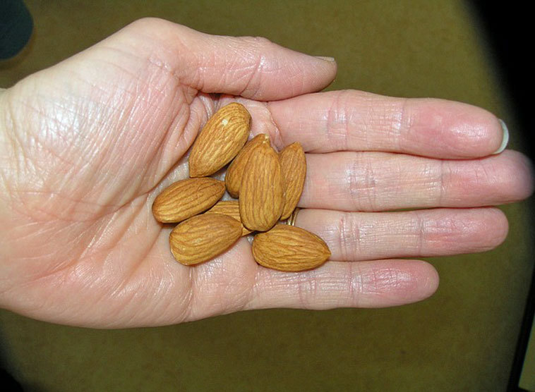 40 Rezepte zur Fastenzeit