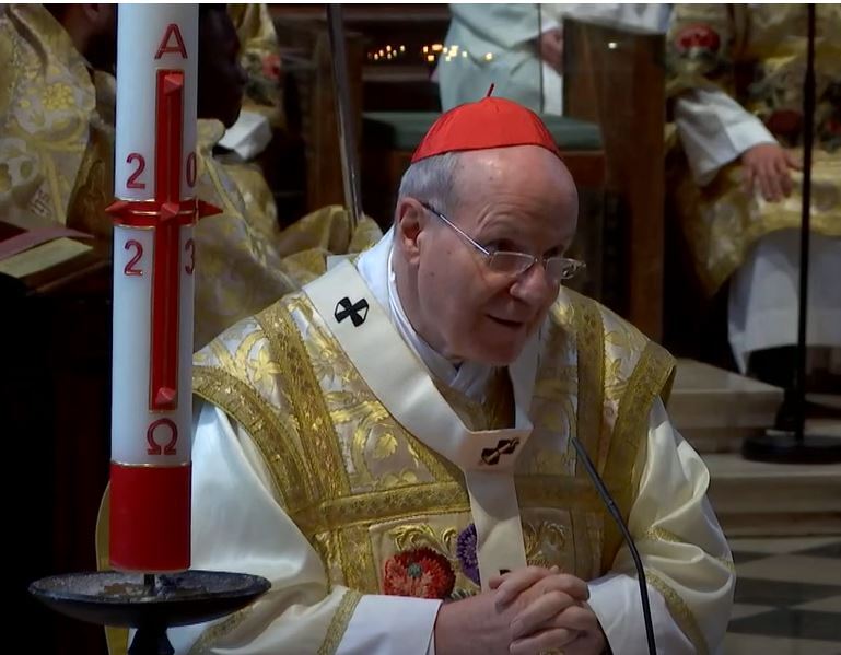 Kardinal Schönborn zu Christi Himmelfahrt