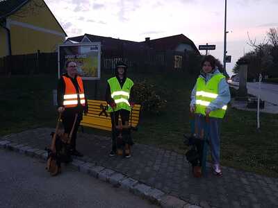 Ratscher in Asparn/Zaya