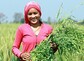 'Familienfasttag': Nachhaltige Landwirtschaft gegen Klimakrise