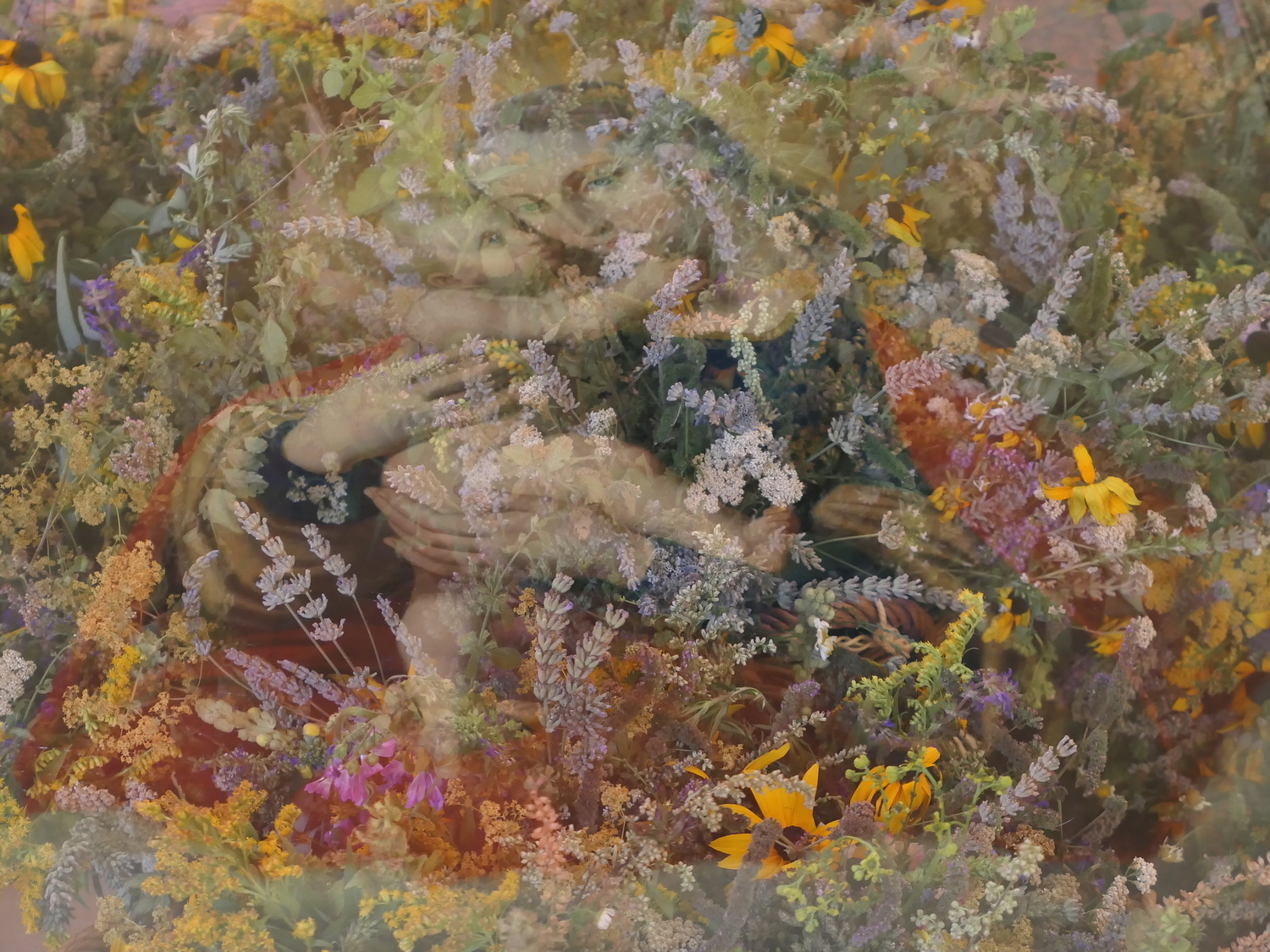 Bild von Mutter Gottes und Kräuter