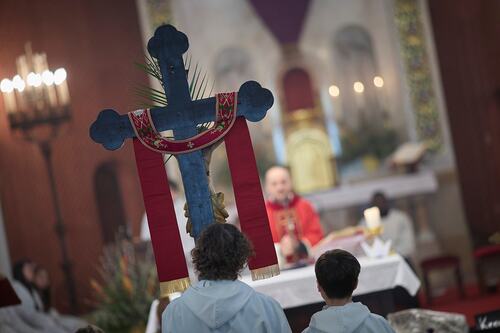 Palmsonntag Pfarre Heilige Mutter Teresa / Erzdiözese Wien/Feuchtner