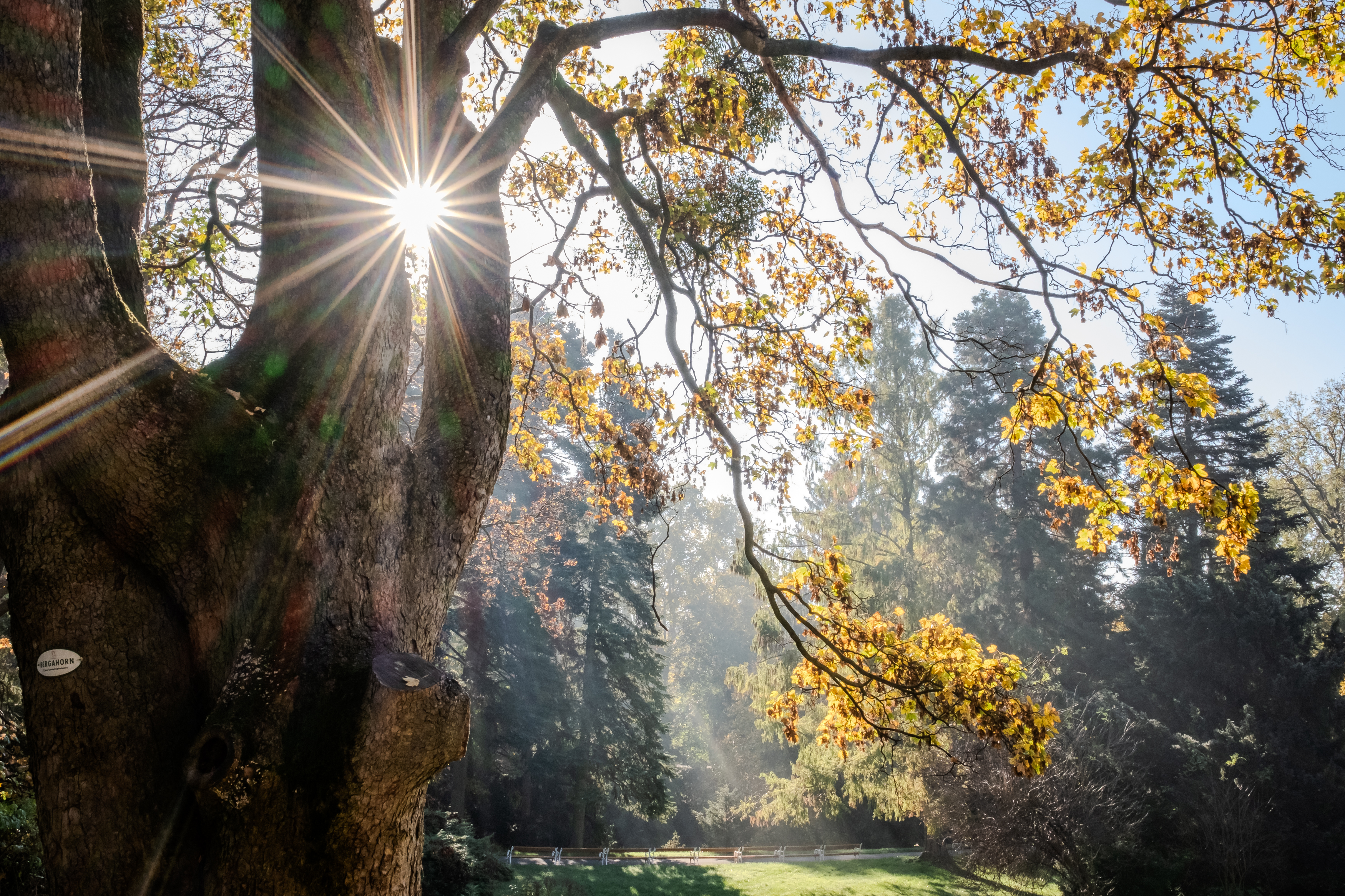 Herbst 
