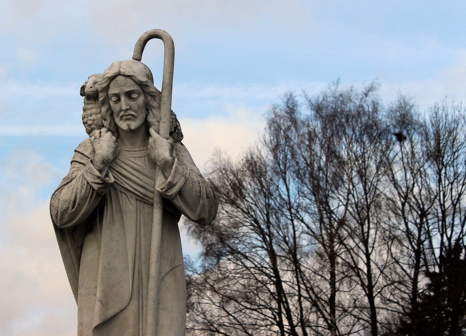 Gedanken von Kardinal Christoph Schönborn zum Evangelium am Sonntag, 3. Mai 2020 (Joh 10,1-10)