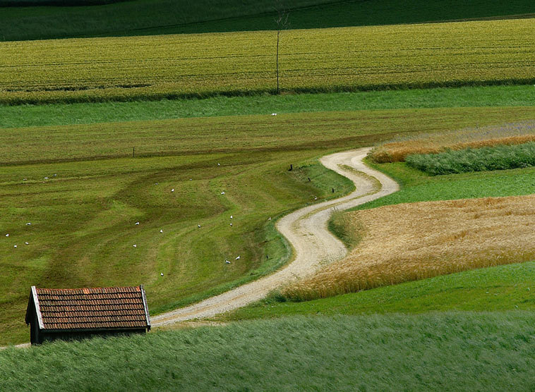 Gedanken von Kardinal Christoph Schönborn zum Evangelium am Sonntag, 26. Jänner 2020 (Mt 4, 12-23)
