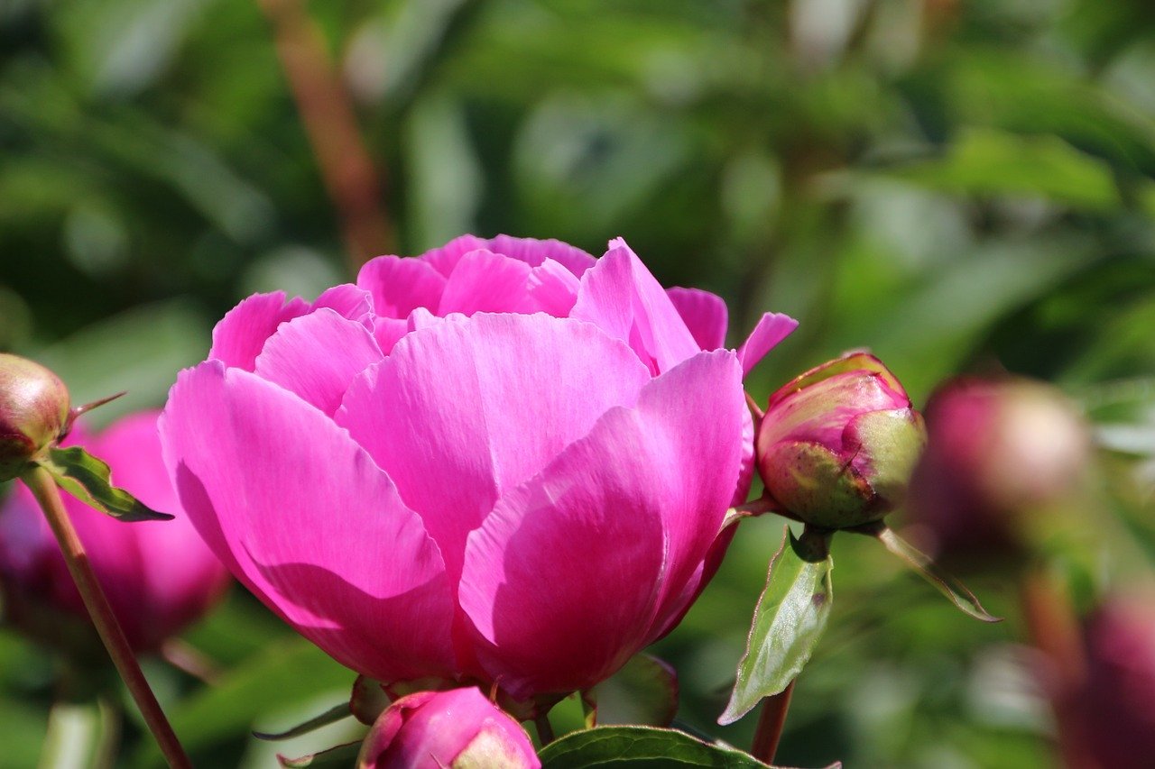 Gedanken von Kardinal Christoph Schönborn zum Evangelium am Sonntag, 17. Mai 2020 (Joh 14,15-21)