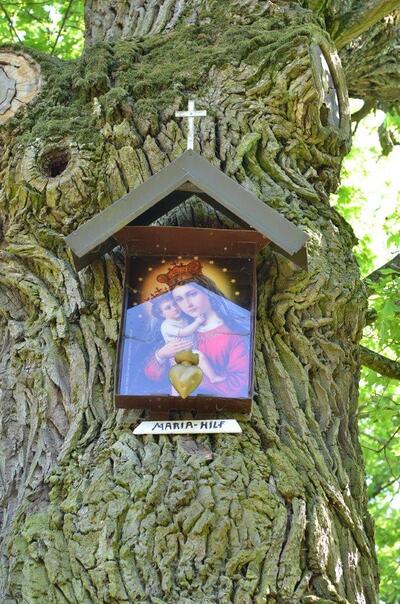 Pfarrverbandsmaiandacht bei der Gnadendorfer Bildeiche