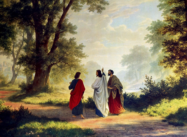 Gedanken von Kardinal Christoph Schönborn zum Evangelium am Sonnagt, 3. Juli 2016 (Lk 10,1-9)