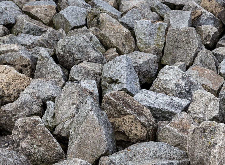 Gedanken von Kardinal Schönborn zum Evangelium am 13. März (Joh 8,1-11)