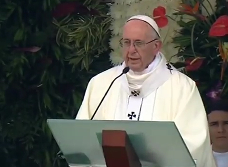 Franziskus ruft in Predigt dazu auf, mit allen Kräften die Nachfolge Jesu anzutreten.