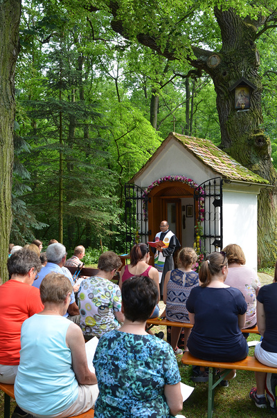 Maiandacht der Pfarren Asparn, Gnadendorf, Michelstetten und Wenzersdorf bei der Bildeichenkapelle