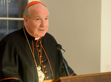Kardinal Schönborn: Christenverfolgung fordert Kirchen heraus