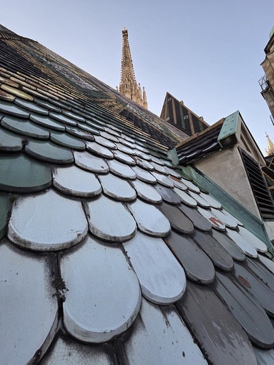 Ausflug nach Wien und Messfeier im Stephansdom