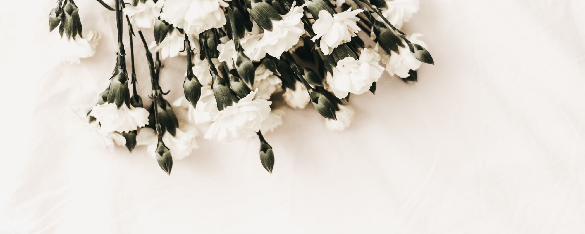 kerri-shaver-E41FJBN09wc-unsplash