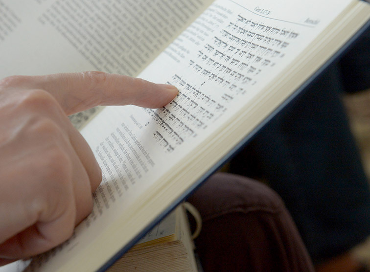 Christentum ohne Wurzel?