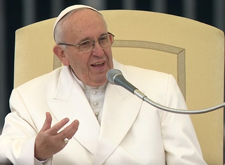 Generalaudienz, 30. Jänner 2016