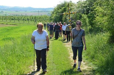 Pfarrverbandsmaiandacht bei der Gnadendorfer Bildeiche