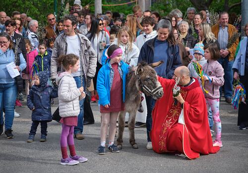 Palmsonntag Pfarre Heilige Mutter Teresa / Erzdiözese Wien/Feuchtner