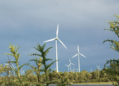 Windräder/kathbild.at,rupprecht