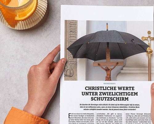 Der fertige Artikel mit passendem Foto