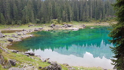 Busreise nach Oberitalien / M. Hersch / Reisegruppe