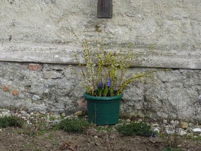 Straßenkreuzweg in der Pfarre Ameis