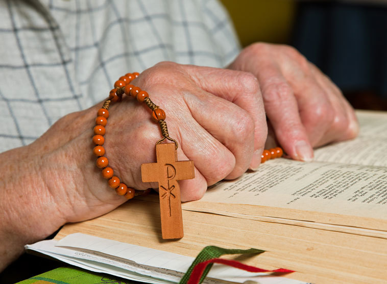 Gedanken von Kardinal Christoph Schönborn zum Evangelium am Sonntag, 20. August 2017 (Mt 15, 21-28)