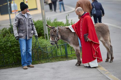 Palmsonntag Pfarre Heilige Mutter Teresa / Erzdiözese Wien/Feuchtner