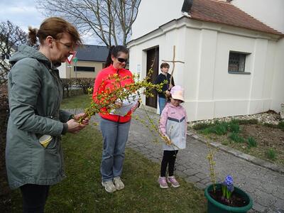 Straßenkreuzweg in der Pfarre Ameis