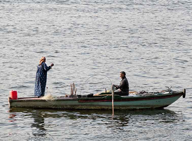 Ehepaar beim gemeinsamen Tagewerk