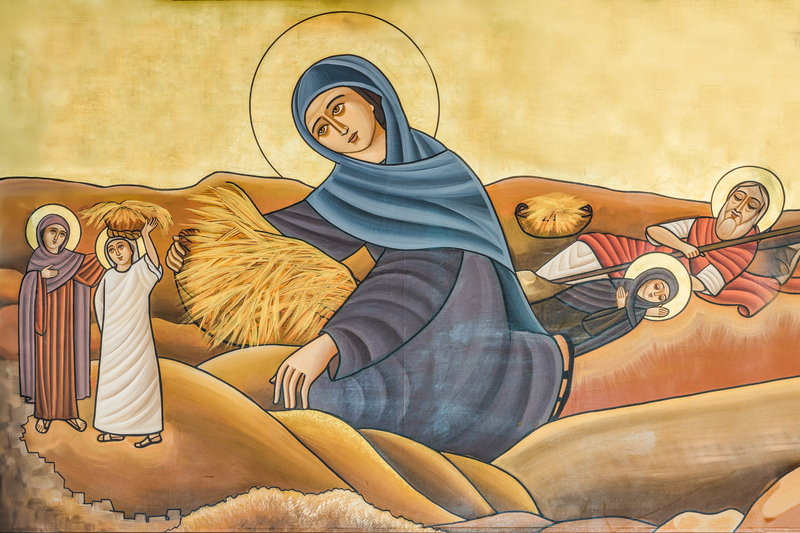 Anfang der Gerstenernte