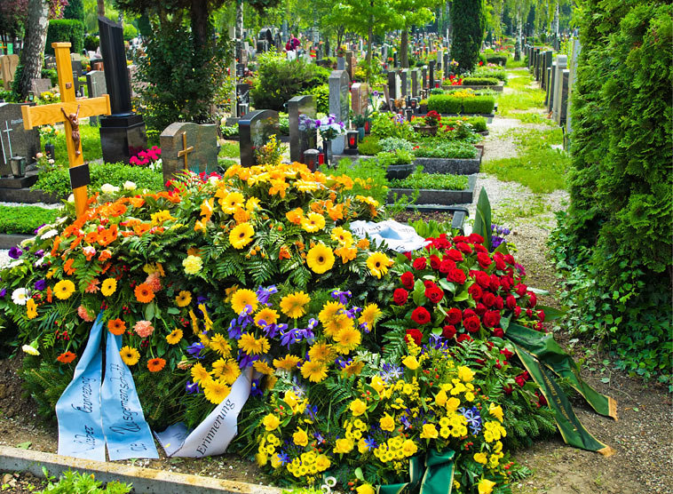 Gedanken von Kardinal Christoph Schönborn zum Evangelium am Sonntag, 6. November 2016 (Lk 20,27-38)