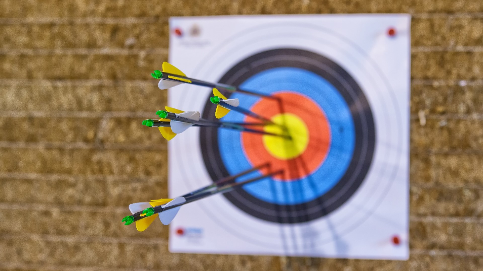 Bild von Waldrebell auf Pixabay