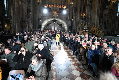 Bischofsweihe und Amtseinführung im Stephansdom